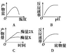 圆度仪测量结果图