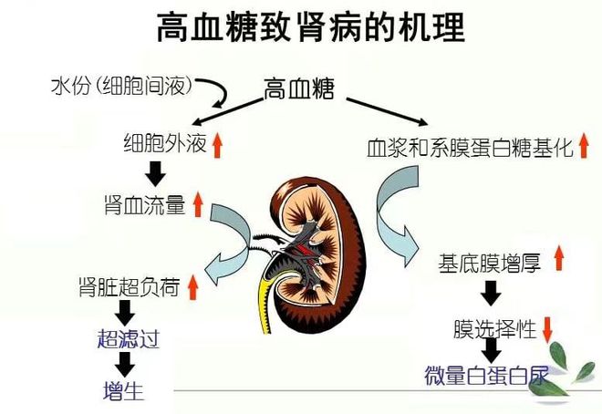 蒸发器对身体危害