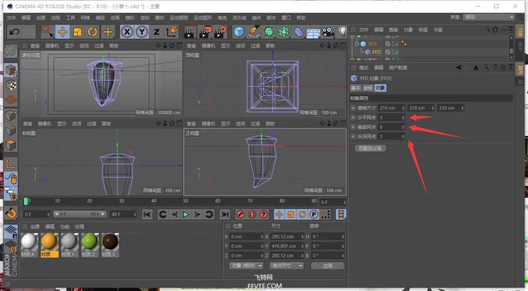 动物模型建模