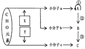 建筑行业中常用的粘合剂化合物a由三种元素组成